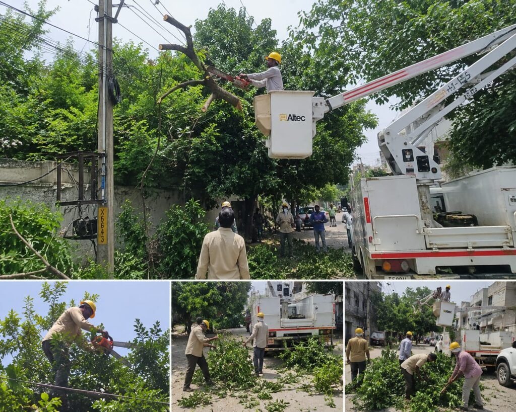 విద్యుత్ లైన్ల భద్రత కోసం చెట్ల కొమ్మల తొలగింపు