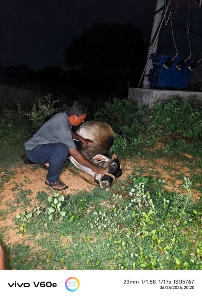 అధికారుల నిర్లక్ష్యం 