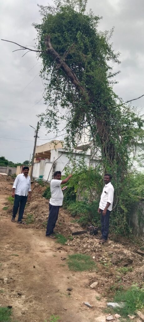 ఎండిన చెట్టుతో కాలనీవాసుల్లో భయం.విద్యుత్ శాఖ నిర్లక్ష్యంపై ఆగ్రహం