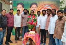 ఘనంగా పేపర్ శ్రీనివాస్ జన్మదిన వేడుకలు